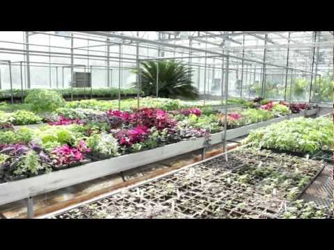 Landscape Horticulture and Design