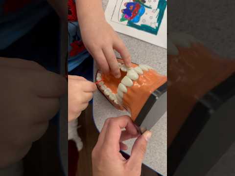 kids oral hygiene 🧸🪥#dentalschool #dentalstudent #dental #dentistry #pediatrics #dentist #teeth