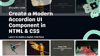 Pure CSS Accordion UI – No JavaScript Needed!