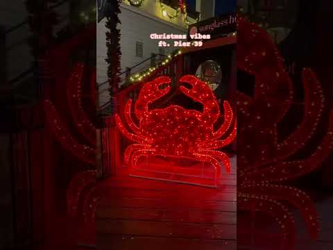 Christmas vibes in San Francisco 🎄🎡 #christmas #sanfrancisco #pier39 #youtubeshorts