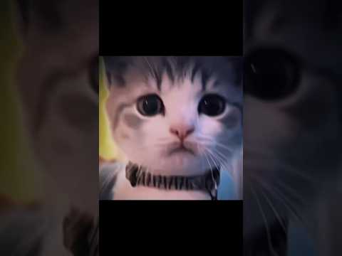 1vs2 Hacker Duo 💀 #bgmilive #jonathan #zeltrex #hacker #senstivity #senstivitysetting #richplayer