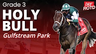 G3 Holy Bull @ Gulfstream Park  DRF Saturday ROTD