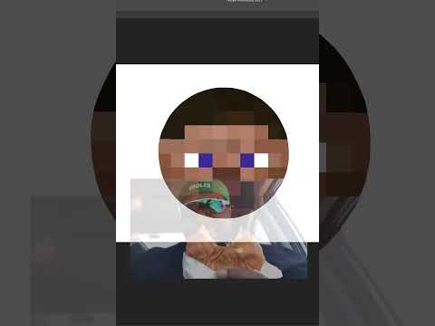 I Turned Steve Into A Circle! #shorts #minecraft