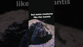 Fornite Server’s Speed is just crazy 🌐