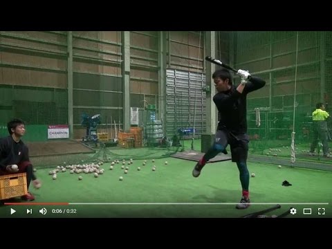 硬式バット　炭化竹バット　少年・女子・大人用まで　硬式のバッティング練習用に最適