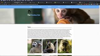 SEO - Keyword Optimization