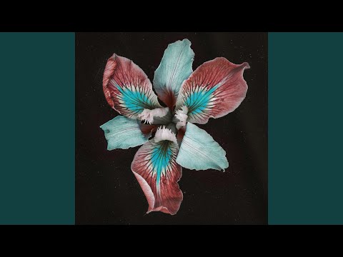 Riverline (Nuage Remix)