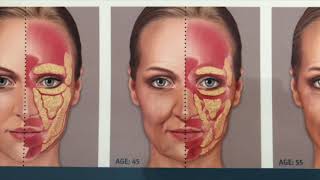 Facial Aging Process