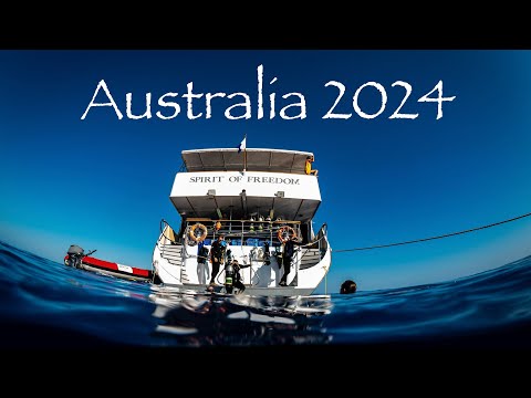 Scuba Diving with Spirit of Freedom Australia 2024