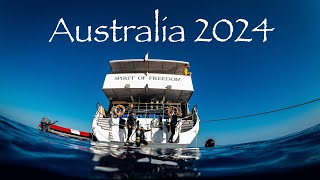 Scuba Diving with Spirit of Freedom Australia 2024
