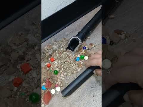 Helix and his munchies. #vacuum #satisfying #cleaningtool #vacuumasmr #vacuumtherapy 