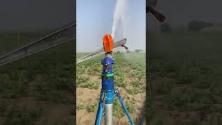 PY-100 Raingun #raingun #irrigation #viralshort #youtubeshorts
