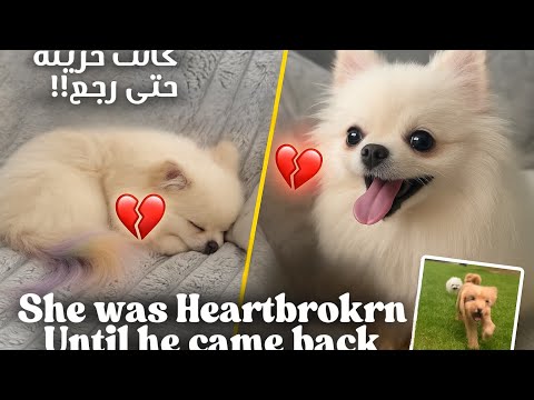 Bella’s Heart Break 💔 حكاية ديال الصداقة و الإلتقاء من جديد