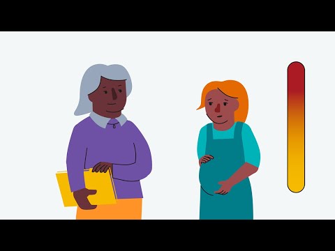 Structured Professional Judgement - MARAM Animation Series