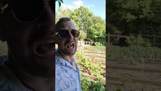 za co kocham UK? #WielkaBrytania #vanlifepolska #podróże #turystyka #warzywa #podróżekształcą