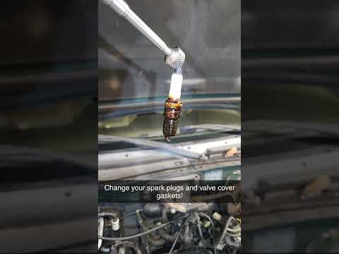 Why You Should Change Valve Cover & Spark Plug Gaskets