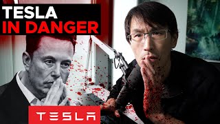 TESLA STOCK CRASH: We need to talk. (Tariffs, BYD, and China’s AI)