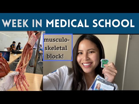 MUSCULOSKELETAL Block | A Week in MEDICAL SCHOOL