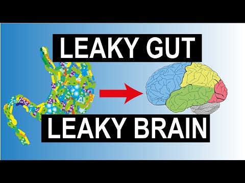 How a Leaky Gut leads to a Leaky Brain - The Microbiome's Role in Alzheimer's