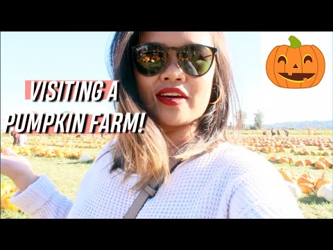 Pumpkin Patch and riding a Bird in Washington!