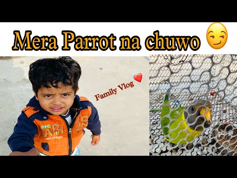 Fully Masti 🤩 with cousin || Mera Parrot 🦜 😍 #familyvlog