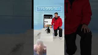 #penguin #helpmemakethismakesense #automobile #challenge #funny #tech #shorts #shortsfeed