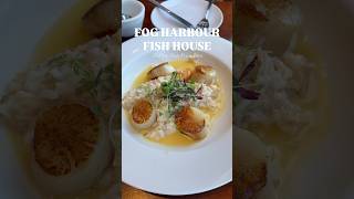 Life in San Francisco | Fog Harbour | Daily Vlog #daily #fyp #food #dailyvlog #seafood #iphone #vlog