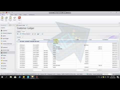 QnE Customer Ledger