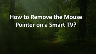 How to Remove the Mouse Pointer on a Smart TV?