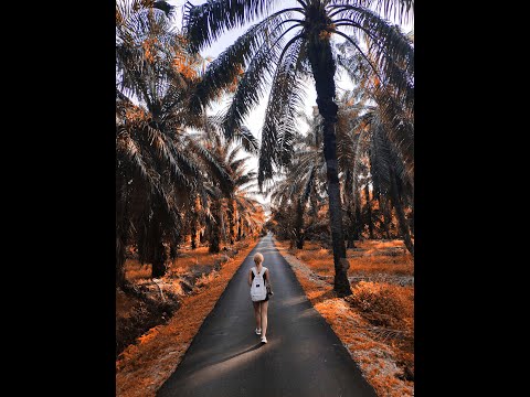 1 Minute Photoshop | Add These 2 Layers to Make Orange Color Effect in Photoshop