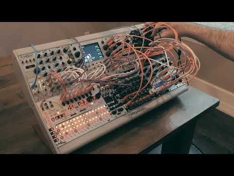 Eurorack: Metron + Mimetic Digitalis + Bitbox