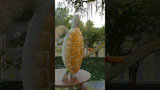 Are Turtle Shells Bulletproof?