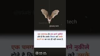 #studytech #viral #shorts