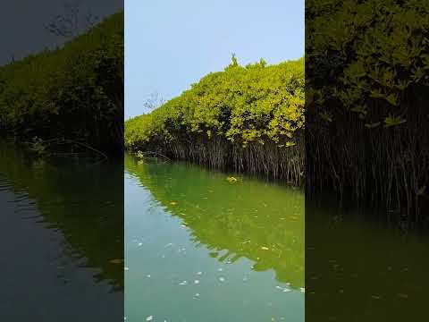 #honnavar#best#place#tour
