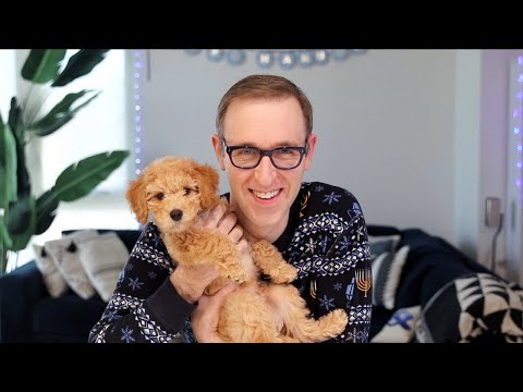top UNEXPECTED gifts for premeds and med students!