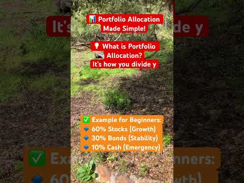 #financeeducation #portfolioallocation