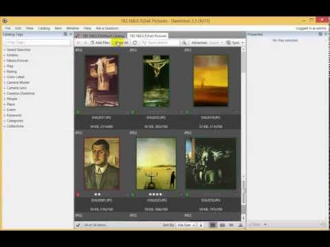 Daminion 3.4 Inside: Multiple Shared Catalogs