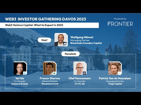 Davos 2023 Expert Panel Web3 Venture Capital - What to expect in 2023?