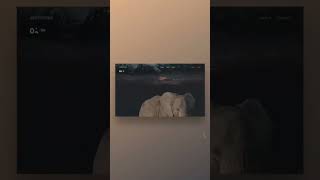 Future of Webdesign | NEW Web Design Trends in 2023 #shorts #web #design #youtubeshorts #short