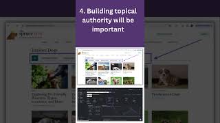 Biggest SEO Trends 2024 | SEO Trends  | SEO Shorts | Spread the Hope #seoshorts