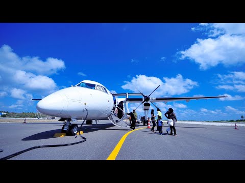 How an aeroplane works/Flies? |car cruiser0.1