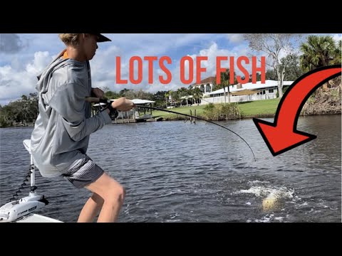 SNOOK AND TARPON FISHING IN THE INDIAN RIVER LAGOON!!!!!