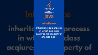 "Types in Java Explained in 30 Seconds!" #csvision #learnjava #programming #coding #learnpython