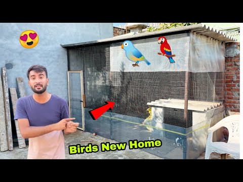 Birds New Home 🐓🦜shehr main dihat || Dawood Sabir Vlogs