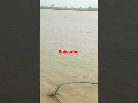Nara #indusriver  Sindhu Mehran Sindh