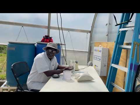 Learn How to Grow Healthy Tomatoes Part 1