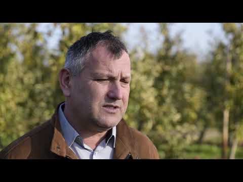 Our Orchard
