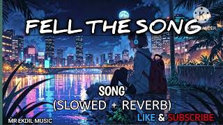 Study Like a Pro: Chill Clam Lofi Music to Boost Your Brain!"