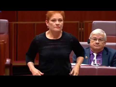 Curb Your Islamity