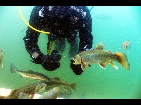 Finger Food im Schneekanonen-Teich